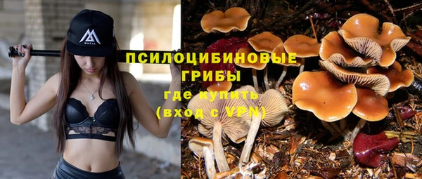 первитин Вяземский