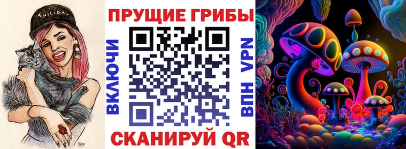площадка официальный сайт  Ефремов  Псилоцибиновые грибы Cubensis 